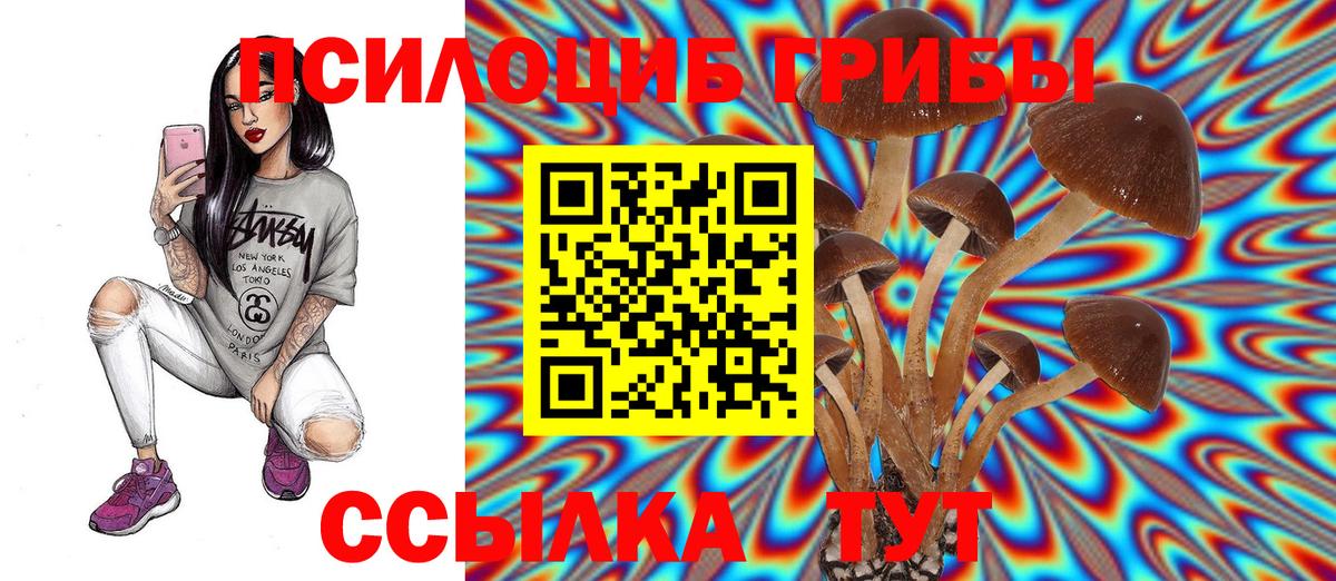 Псилоцибиновые грибы Cubensis  Вход с VPN  Люберцы 