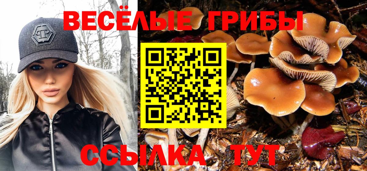 Галлюциногенные грибы Magic Shrooms Люберцы